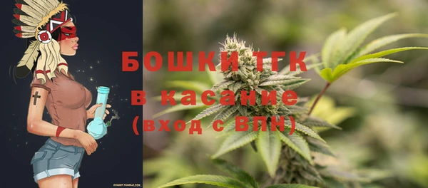 прущие грибы Абаза