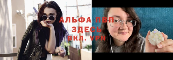 прущие грибы Абаза