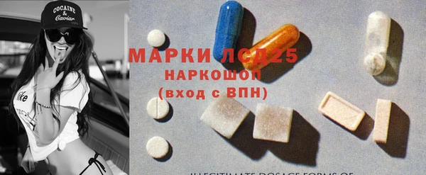 прущие грибы Абаза